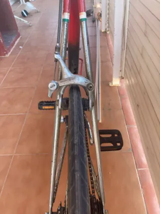 Bicicleta Fixie Single Speed Talla L (58cm)