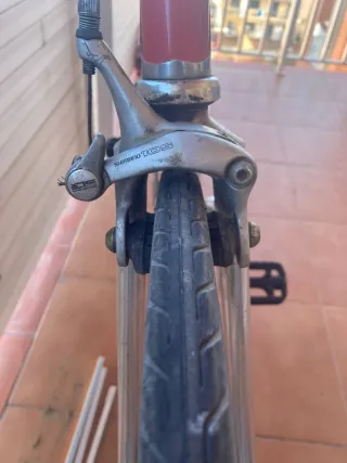 Bicicleta Fixie Single Speed Talla L (58cm)