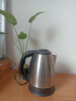 Hervidor de agua eléctrico