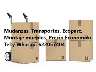 Mudanza, Transporte, Ecoparc, Algemesí