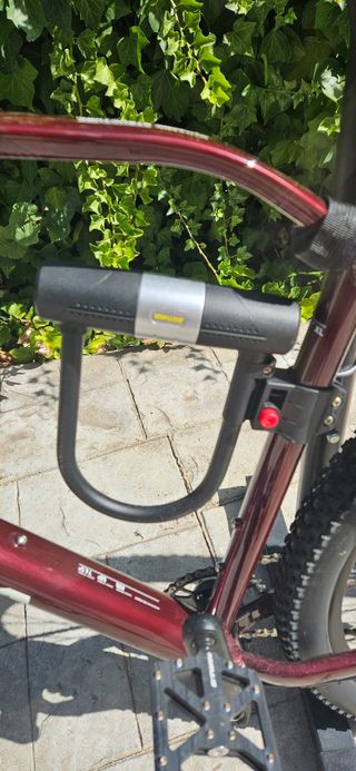 Orbea Alma H30 2023 XL Montaña