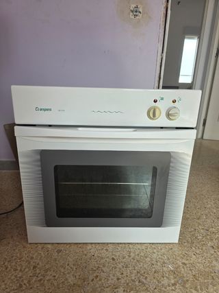 Horno Aspes H2-1110