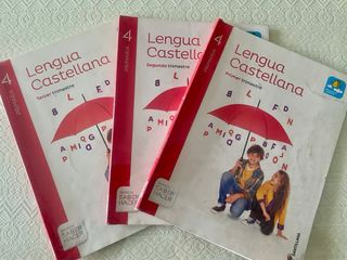 Lote libros Santillana cuarto de primaria 
