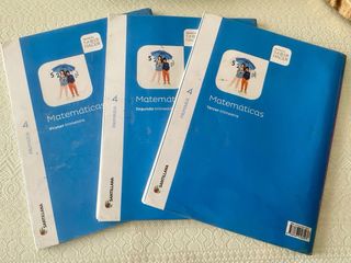Lote libros Santillana cuarto de primaria 