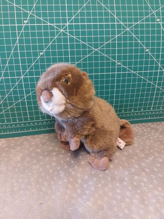 Peluche a forma di Castoro, Pelux i Coccoli