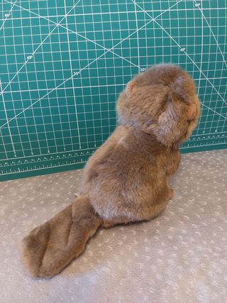 Peluche a forma di Castoro, Pelux i Coccoli