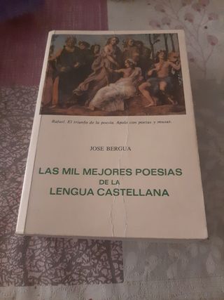 Las mil mejores poesías de la lengua castellana