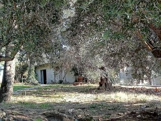 Chalet en alquiler en Centro Urbano en San Sebastián de los Reyes