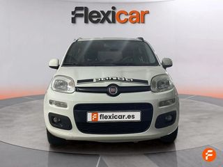 Fiat Panda 1.2 City Cross 51kW (69CV) 4x2