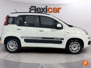 Fiat Panda 1.2 City Cross 51kW (69CV) 4x2