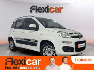 Fiat Panda 1.2 City Cross 51kW (69CV) 4x2