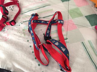 Arnés para perro talla M