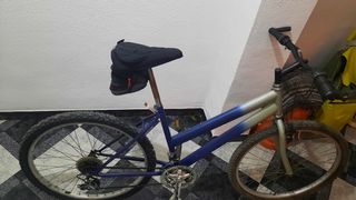 Bicicleta de Montaña Azul y Plateada
