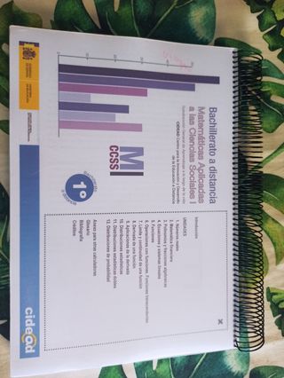 Matemática aplicada a las ciencias sociales I