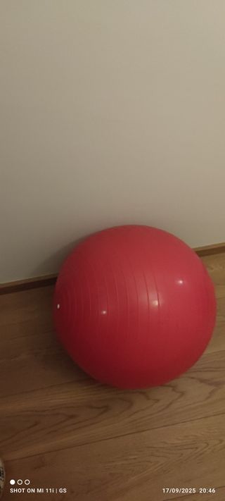 Aparatos de gimnasio.