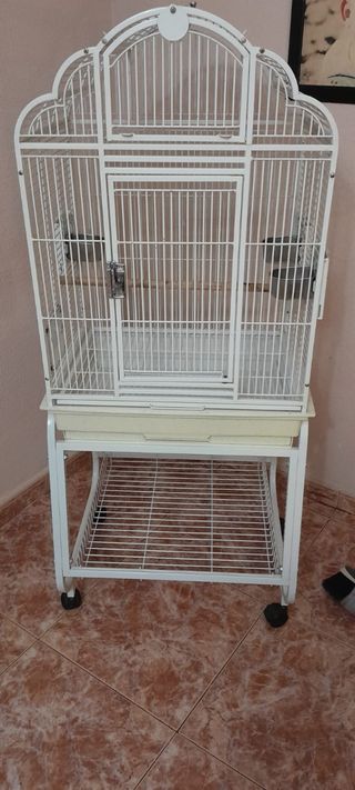 Jaula para pájaros loros ninfas agaponis