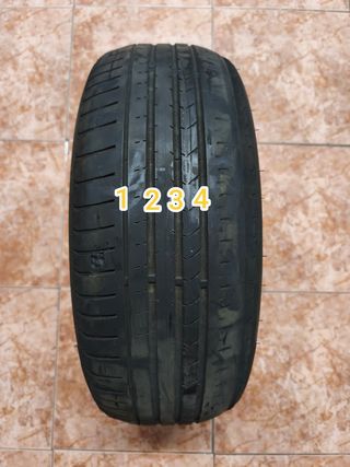 Neumático Forceland 195/55R16
