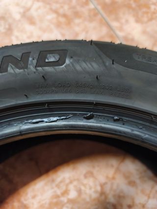 Neumático Forceland 195/55R16