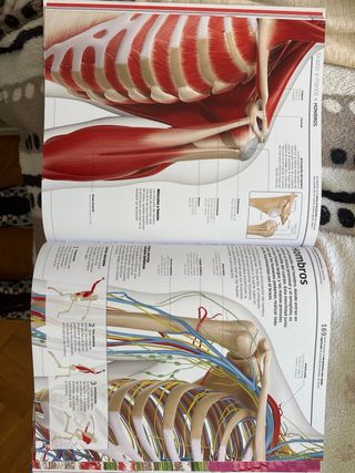 Cuerpo humano (Mundo 3D): Como nunca antes lo h...