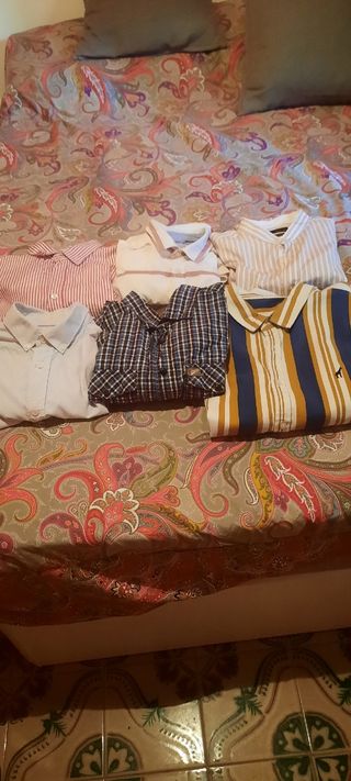 6 Camisas de Algodón talla M