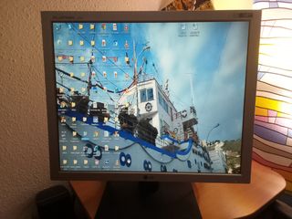 Pantalla Ordenador LG Gris