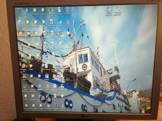 Pantalla Ordenador LG Gris