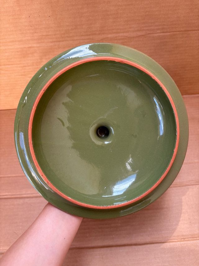 Cocotte grande verde