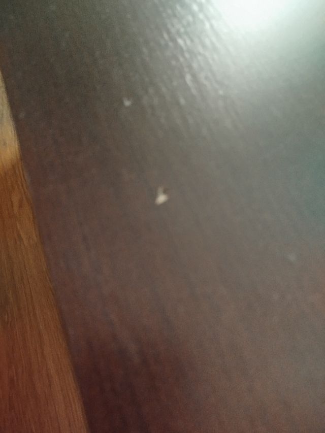 Mesa auxiliar centro elevable madera