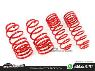 MUELLES DEPORTIVOS MTS TECHNIK MTSXNI073