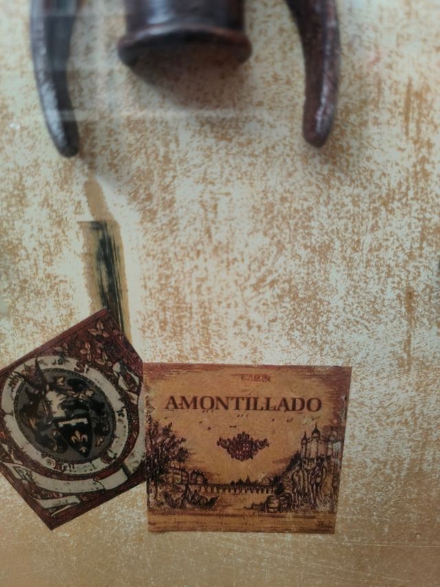 Colección Sacacorchos Antiguos Enmarcada