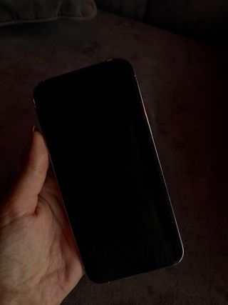 iPhone 13 Pro Max Blanco