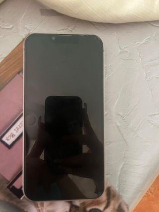 iPhone 13 en rosa