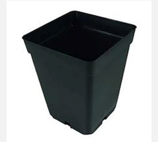 Vasos Quadrados Pretos em Plástico