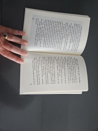 Historia de una gaviota y del gato que le ensen...