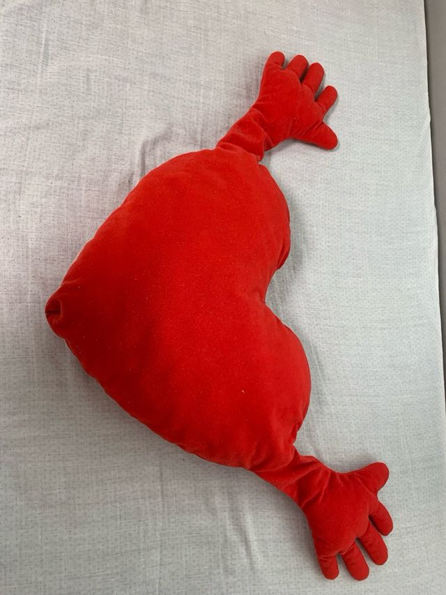 Cojín Corazón con Manos