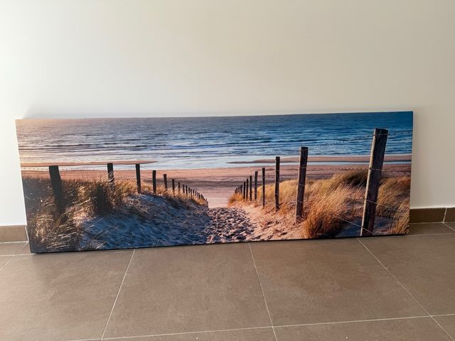 Cuadro playa camino y dunas