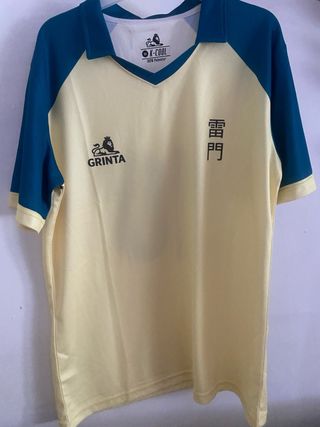Camiseta Instituto Raimon GRINTA Talla M