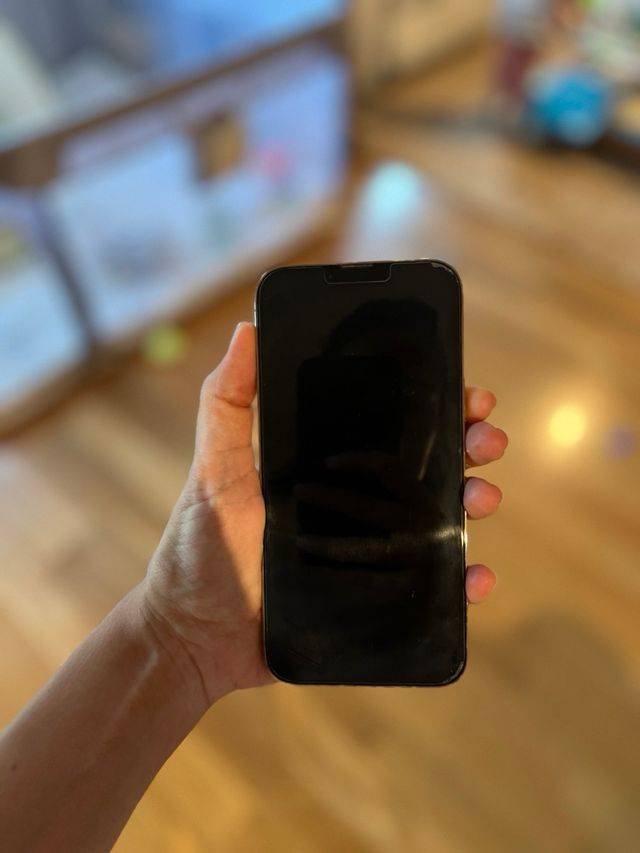 iPhone 13 Pro Max 1TB