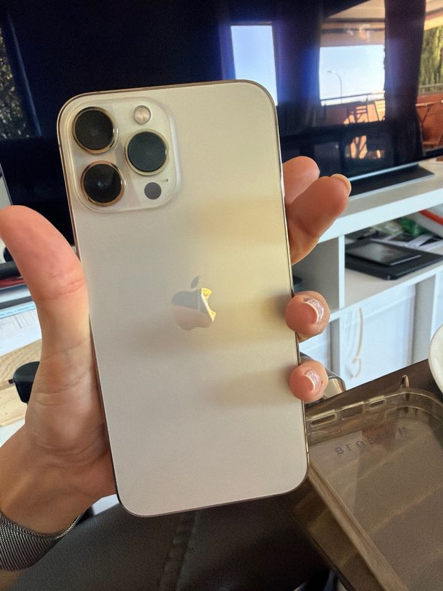 iPhone 13 Pro Max 1TB