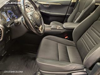 Lexus NX300h SPORT EDITION 2019 REF 4311