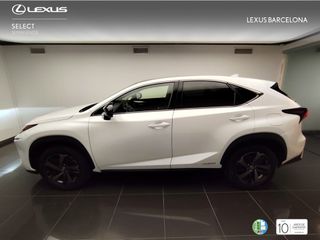 Lexus NX300h SPORT EDITION 2019 REF 4311