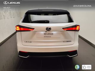 Lexus NX300h SPORT EDITION 2019 REF 4311