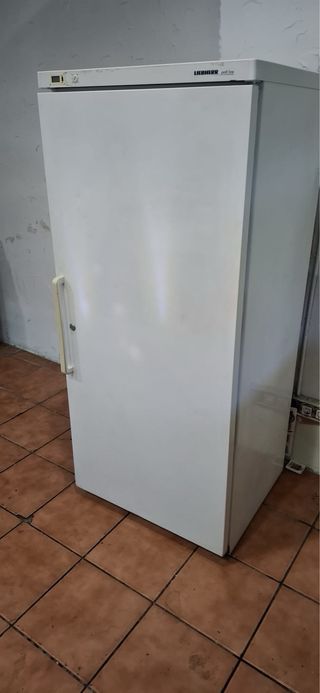 Congelador vertical 1 puerta blanco