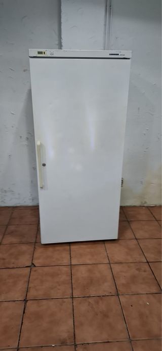 Congelador vertical 1 puerta blanco