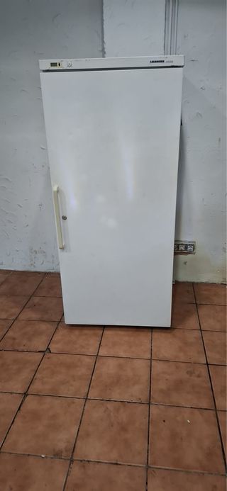 Congelador vertical 1 puerta blanco