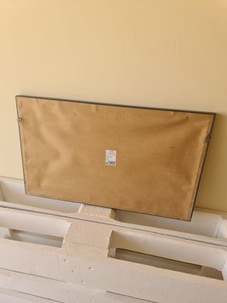 Quadro Flores Botânico com Moldura Espelhada