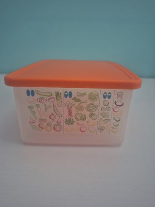 Contenitore Tupperware Rettangolare Arancione