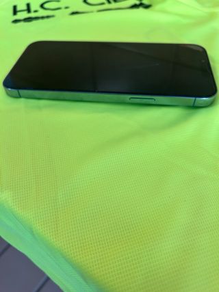 iPhone 13 Pro Max 128GB azul 390
