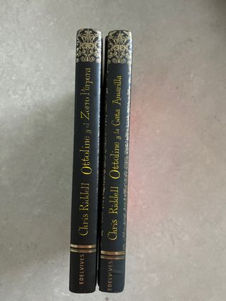 Pack 2 libros Ottoline y la Gata Amarilla + Púrpur