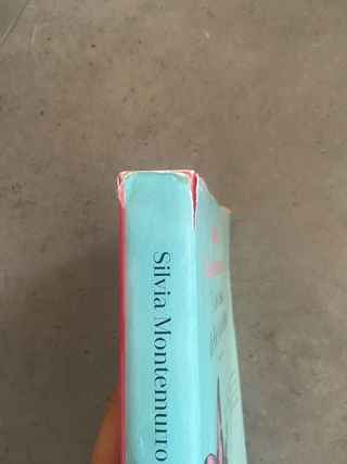 libro La casa delle farfalle di Silvia Montemurro